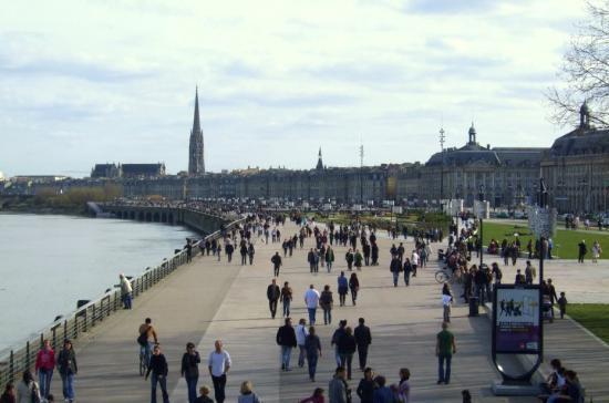 Ausone Beautiful Loft Apartment In Historical Center + Terrace And Parking Bordeaux Ruang foto